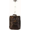 A.SAKS On The Go 17in. Expandable Upright Under-the-Seat Carry-on
